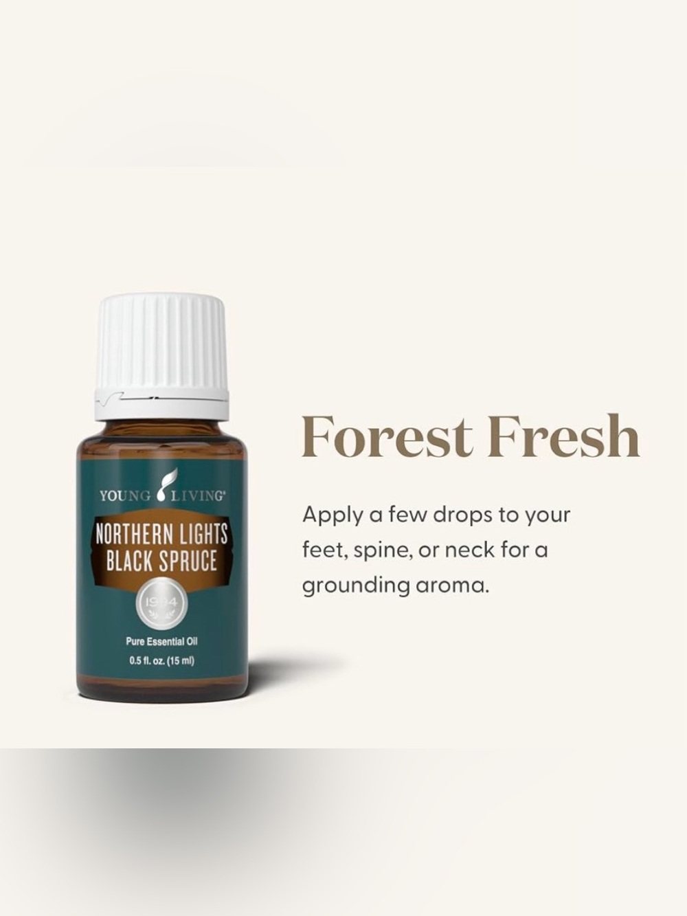 Young Living Northern Lights Black Spruce Essential Oil 5 ml Bottle Brand New - Picture 10 of 11